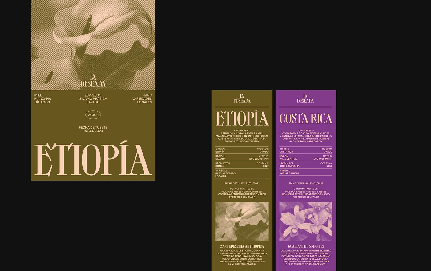 brand identity coffee shop bakery visual identity menu design Restaurant Branding Logo Design Packaging graphic design Flowers